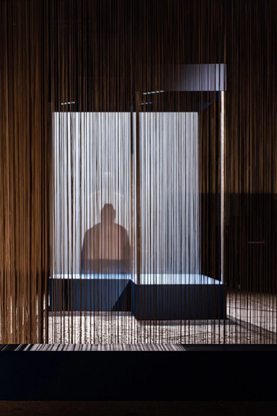 thelonious-hinter-fahdenvorhang-schattenwand