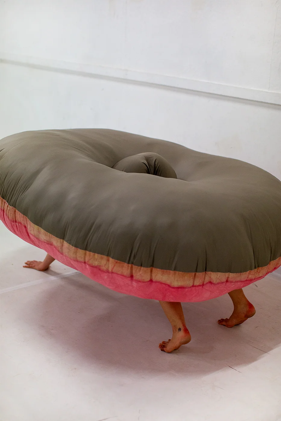 diplom-maylin-habig-donut-schildkroete